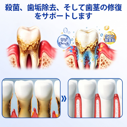 🇯🇵🏅🦷🛡️ Dr.Era® ガムリバイブ 歯周・歯ぐきケアジェル